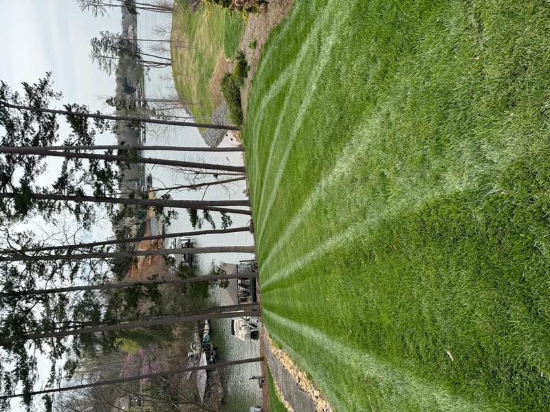 Weed control spraying in Hickory, NC by Oasis Property Management